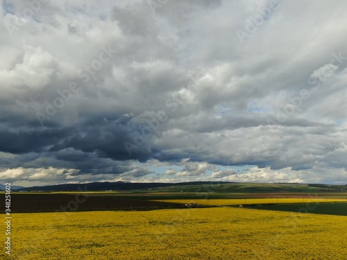 Yellow fields under a stormy sky 