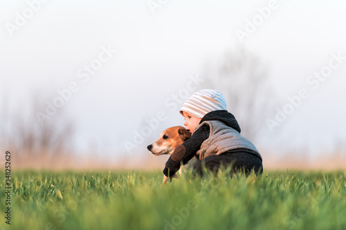 Small kid in yellow jacket with jack russel terrier puppy embrace one another on spring field on sunset time