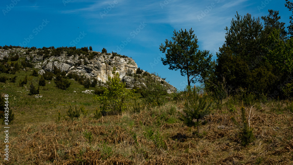 View of the Sokolich Mountains Reserve and rock stones in Olsztyn. A free space for an inscription View of the Sokolich Mountains Reserve and rock stones in Olsztyn. A free space for an inscription