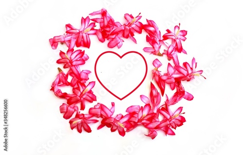 pink heart with pink flower border on white background