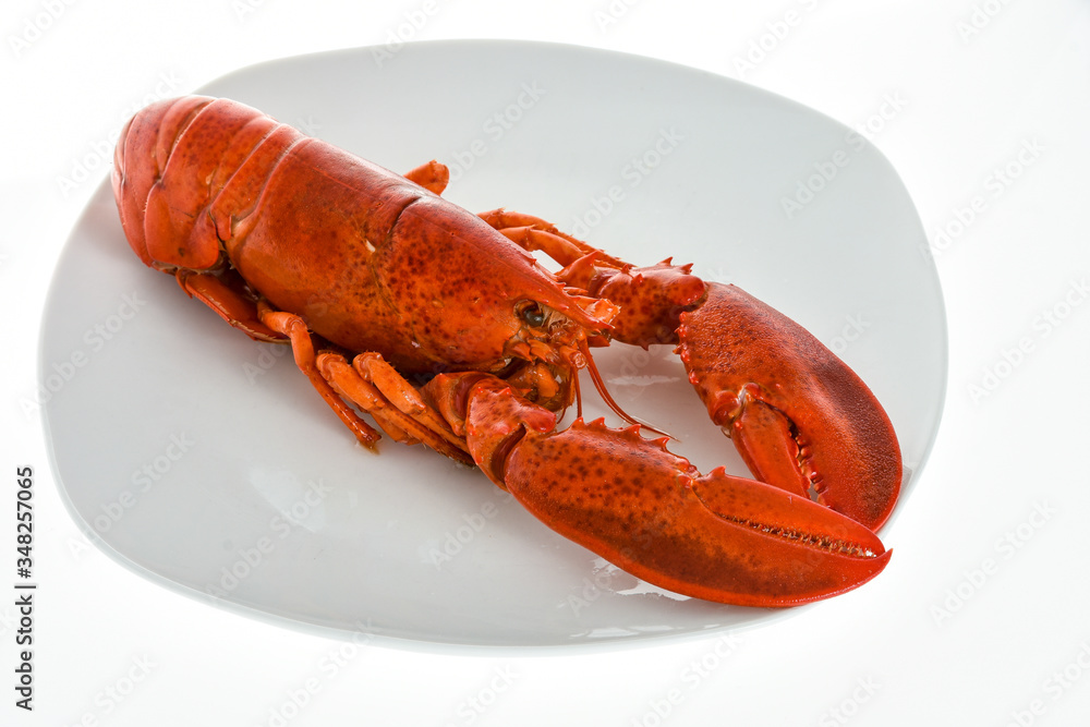 American lobster coocked and on plate. American lobster coocked and on plate.