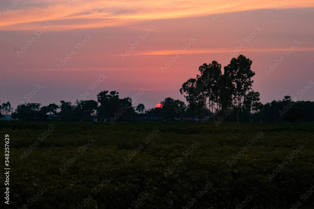 Sunset view of a small Indian village infront of green crops field with beautiful mist cloudy sky 