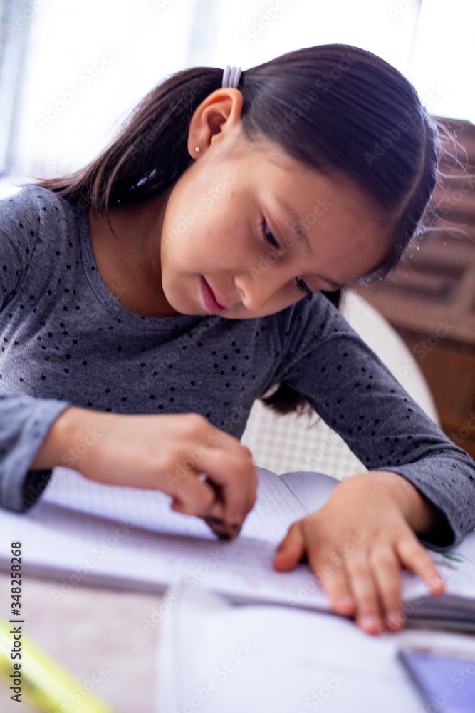 Niña toma clases en casa a causa de la contingencia Niña toma clases en casa a causa de la contingencia