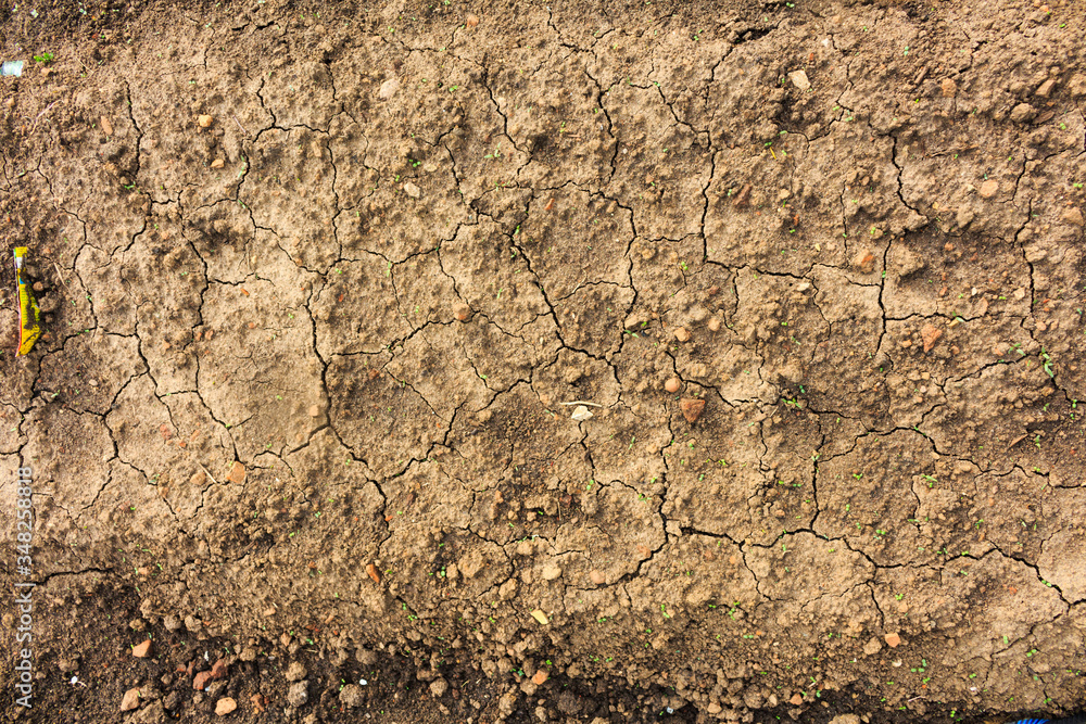 Soil texture. View from above.