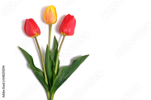 Fototapeta Naklejka Na Ścianę i Meble -  Red and yellow tulips on a white background.