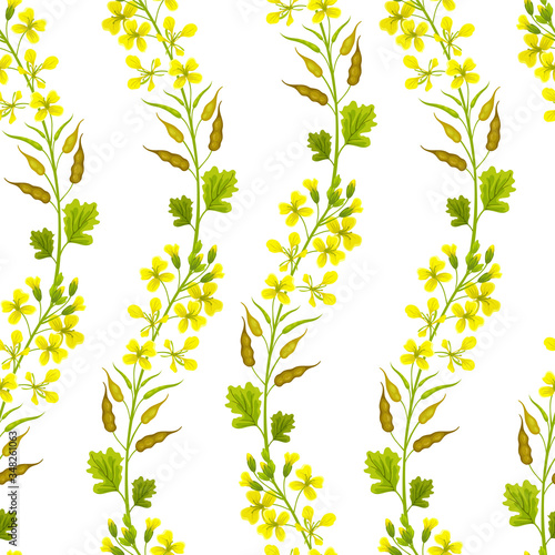 Seamless background of flower and leaves mustard. Vector illustration.