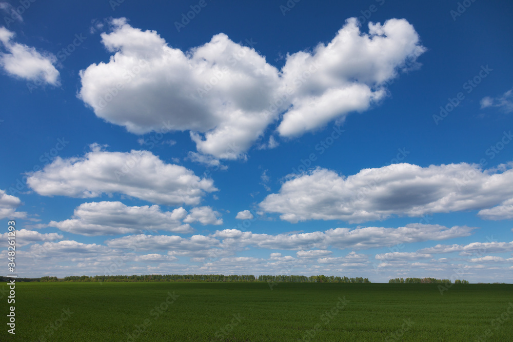 Daytime landscape with green field and beautiful clouds in the sky Daytime landscape with green field and beautiful clouds in the sky