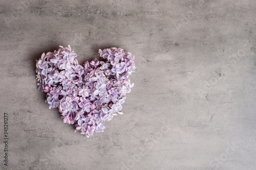 Flowers of a lilac in the form of a heart on gray background
