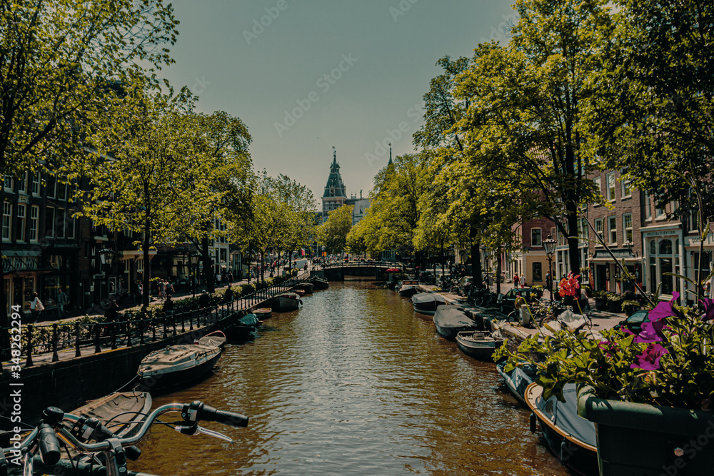 Amsterdam canal in full bloom