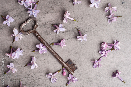 Fototapeta Naklejka Na Ścianę i Meble -  Key and lilac flowers on a gray background.Top view