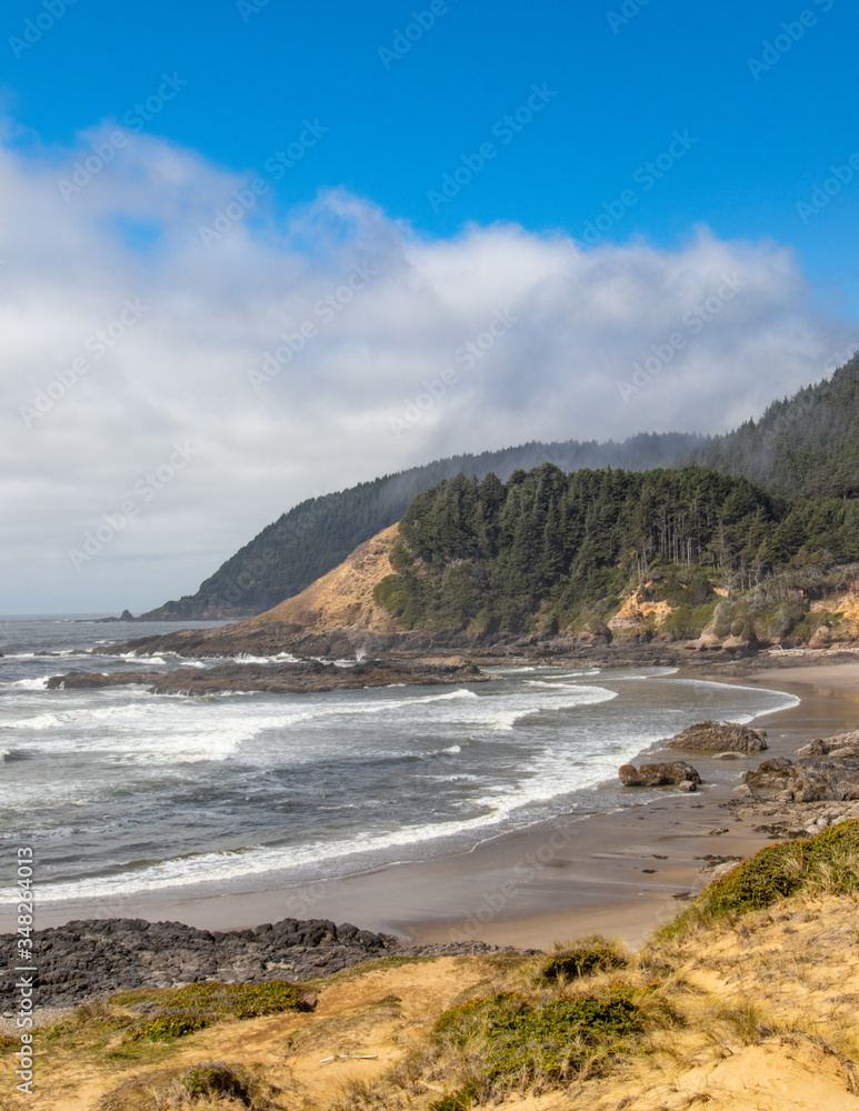 Vertical Image - sandy beach and cliffs along the natural Oregon coast