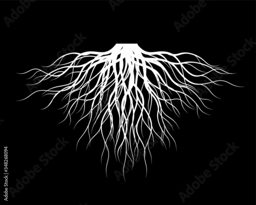 White Tree Roots. Vector outline Illustration. Plant and Garden.