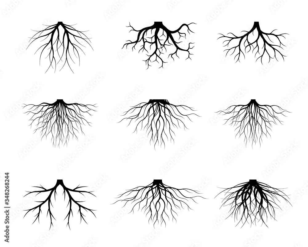 Set of Black Tree Roots. Vector outline Illustration. Plant and Garden