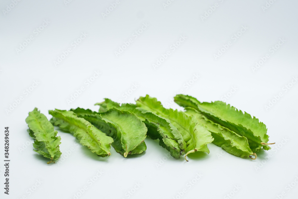 The winged bean , Psophocarpus tetragonolobus,shot in a white isolated background The winged bean , Psophocarpus tetragonolobus,shot in a white isolated background
