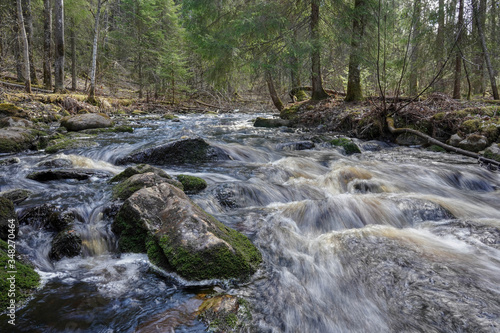 Fototapeta Naklejka Na Ścianę i Meble -  
small river in the forest, long exposure photo