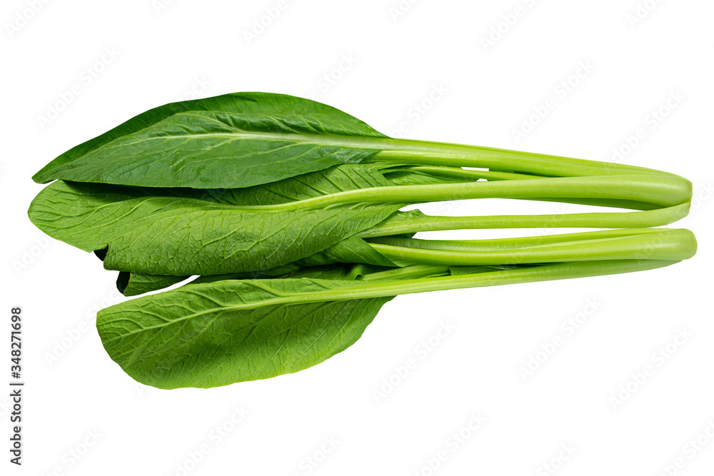 Chinese cabbage , Chinese mustard green , bog choy, green leaves vetgetable isolated on white background with clipping path Chinese cabbage , Chinese mustard green , bog choy, green leaves vetgetable isolated on white background with clipping path