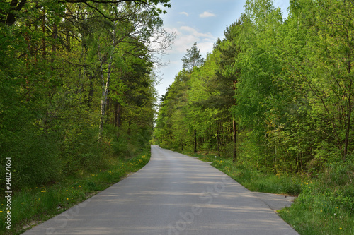Zakręt drogi asfaltowej prowadzącej przez zielony las pod błękitnym niebem.