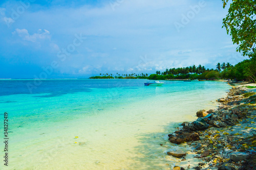 Maldives Sunny beach and coconut palms © Mikhail