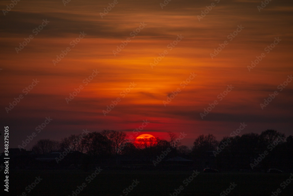 sunset behind the trees