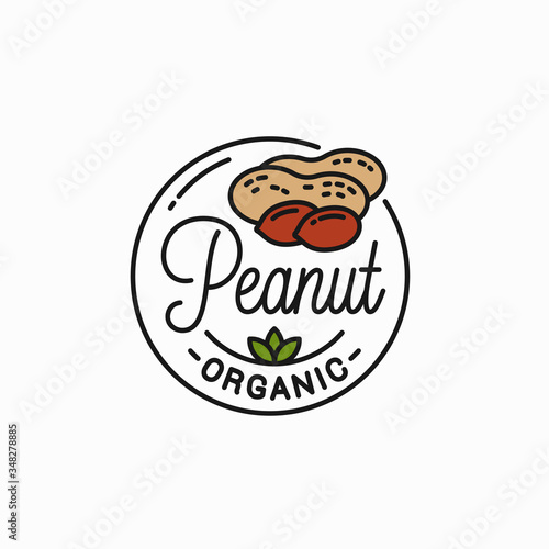 Peanut nut logo. Round linear of peanut on white