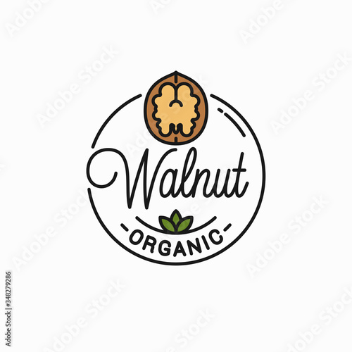 Walnut vector logo. Round linear of walnut