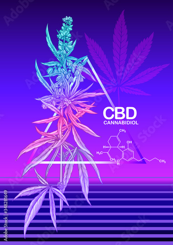 Hemp, Cannabis plant. Template, poster, card, good for product label. Vector illustration in neon, fluorescent colors
