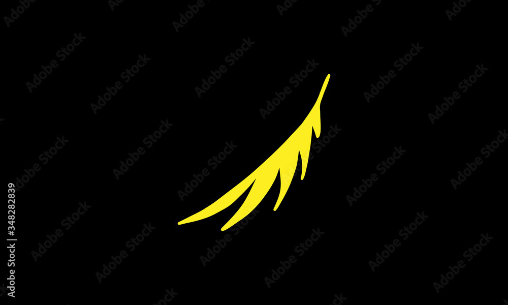 feather on black background feather on black background