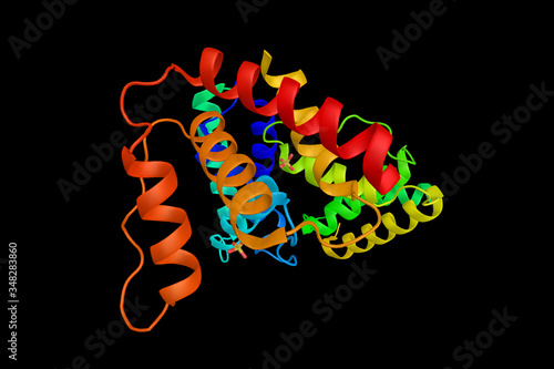 ACBP, a highly conserved protein of about 90 amino acids that is found in all four eukaryotic kingdoms, Animalia, Plantae, Fungi and Protista, and in some eubacterial species. 3d rendering photo