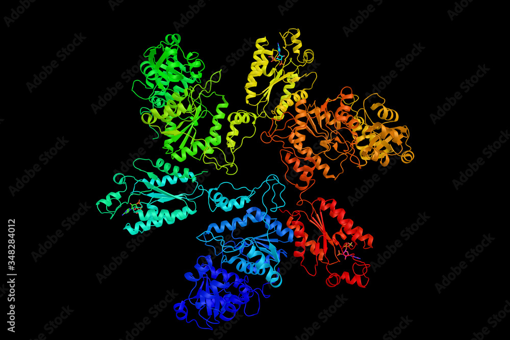 Adenylyl-sulfate kinase, an enzyme which participates in 3 metabolic pathways: purine metabolism, selenoamino acid metabolism, and sulfur metabolism. 3d rendering