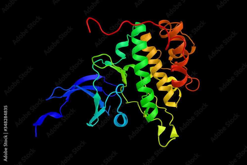 Checkpoint kinase 1, which coordinates the DNA damage response (DDR) and cell cycle checkpoint response. 3d rendering
