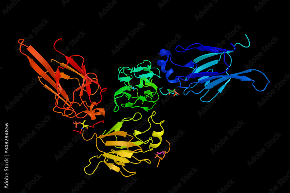 Checkpoint kinase 2, which operates in an intricate network of proteins ...