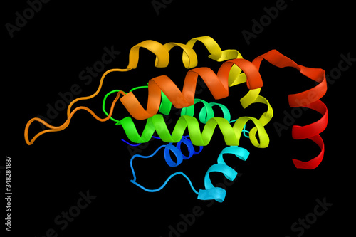 CLINT1, a protein which binds to the terminal domain of the clathrin heavy chain and stimulates clathrin cage vesicle assembly. 3d rendering photo