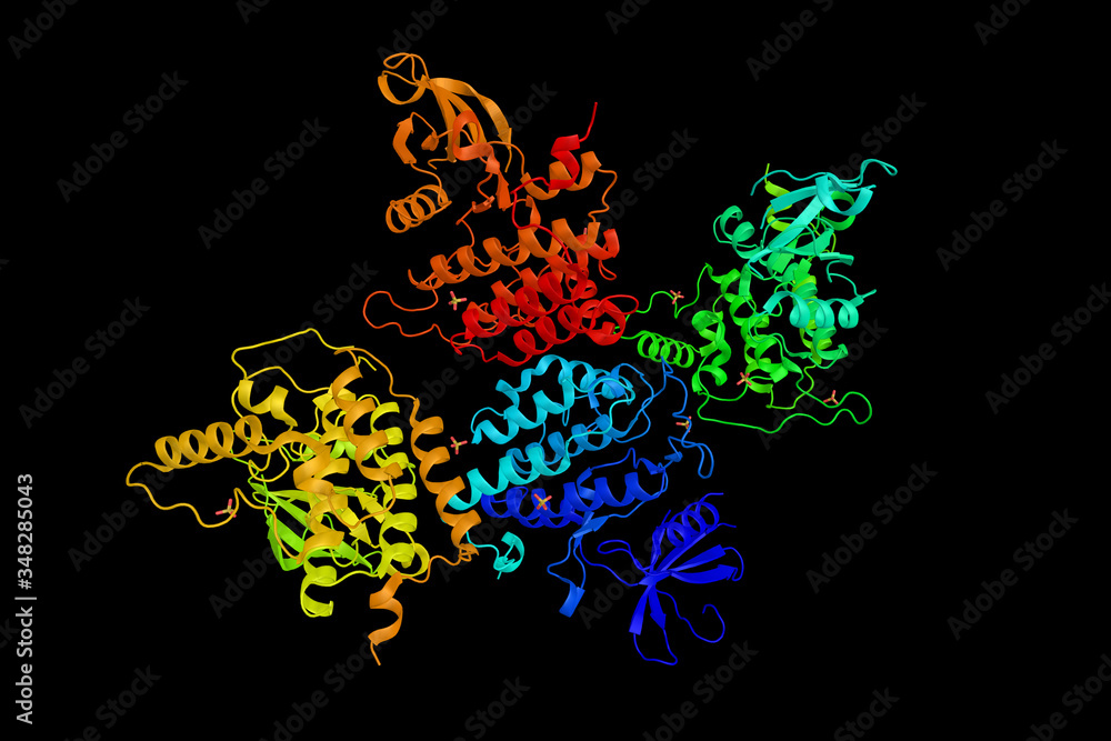 Casein kinase I isoform delta enzyme, a protein which is highly similar ...