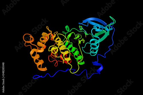 Принти на полотні Casein kinase II subunit alpha, an enzyme which has been shown to interact with over 160 different substrates