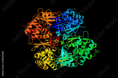 Cyclin-dependent kinase 1, a highly conserved protein that functions as a serine/threonine kinase, and is a key player in cell cycle regulation. 3d rendering