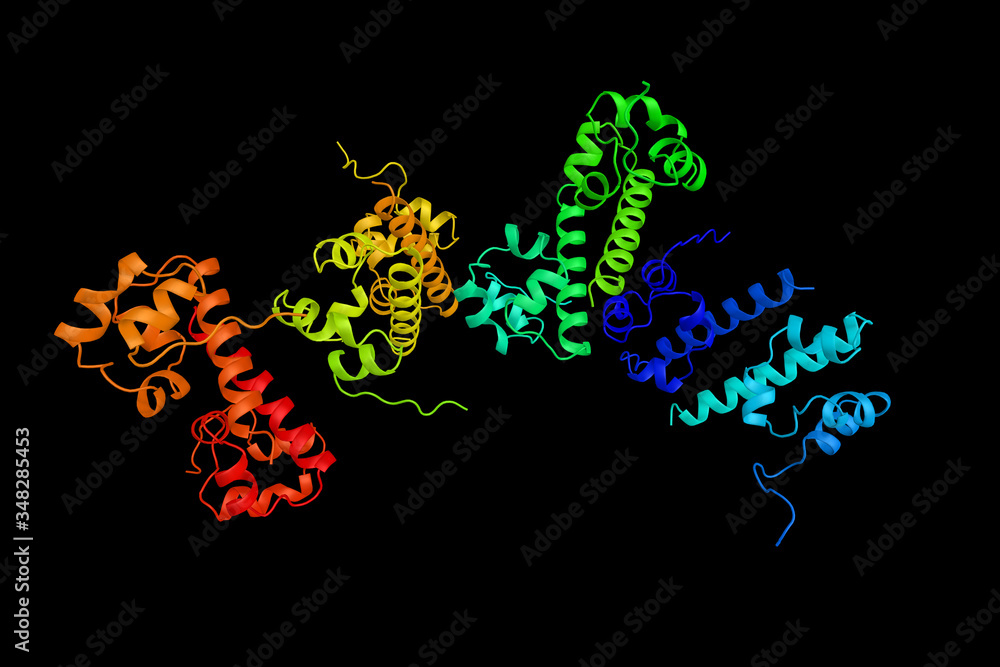Ephrin type-B receptor 2, a protein which is a receptor for ephrin-B family members. 3d rendering