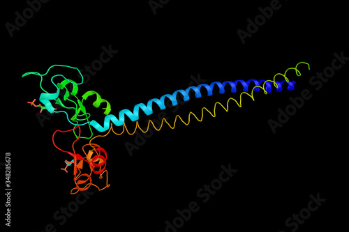 FYVE zinc finger which binds Phosphatidylinositol 3-phosphate in a way dependent on its metal ion coordination and basic amino acids. 3d rendering photo