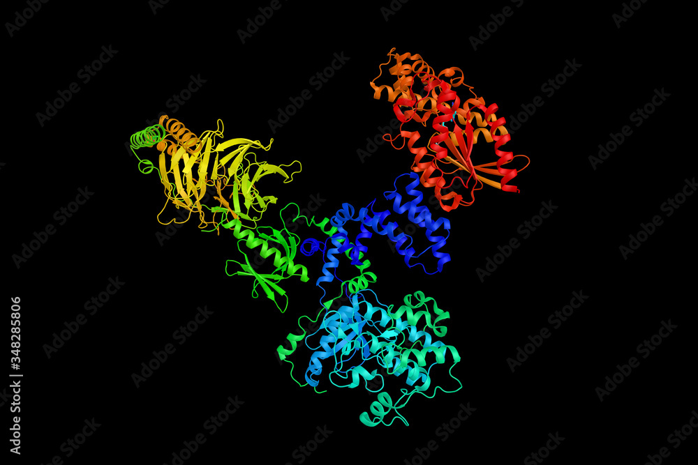 Guanine nucleotide-binding protein G(q) subunit alpha, a protein that in humans is encoded by the GNAQ gene. Mutations in this gene have been found associated to cases of Sturge-Weber syndrome