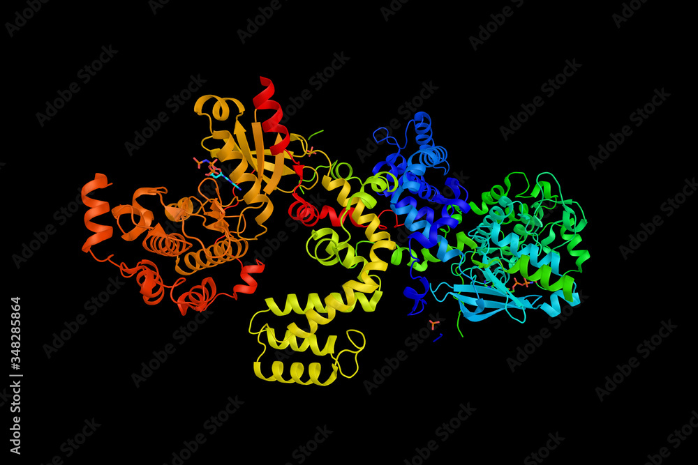 G protein-coupled receptor kinase 6, an enzyme which appears to be involved in responses to morphine. 3d rendering