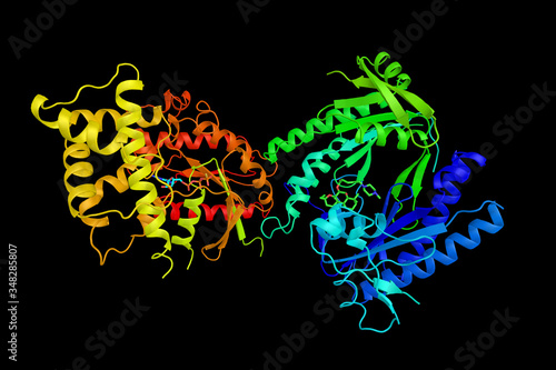 GNAS complex locus, also known as GNAS, a protein which in humans is encoded by the GNAS gene. The stimulatory G-protein alpha subunit (Gs-alpha), a key component of many signal transduction pathways photo