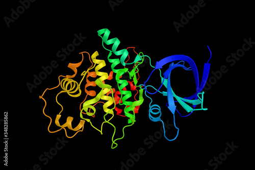 Glycogen synthase kinase-3 alpha, an enzyme implicated in the control of several regulatory proteins including glycogen synthase and various transcription factors. 3d rendering photo