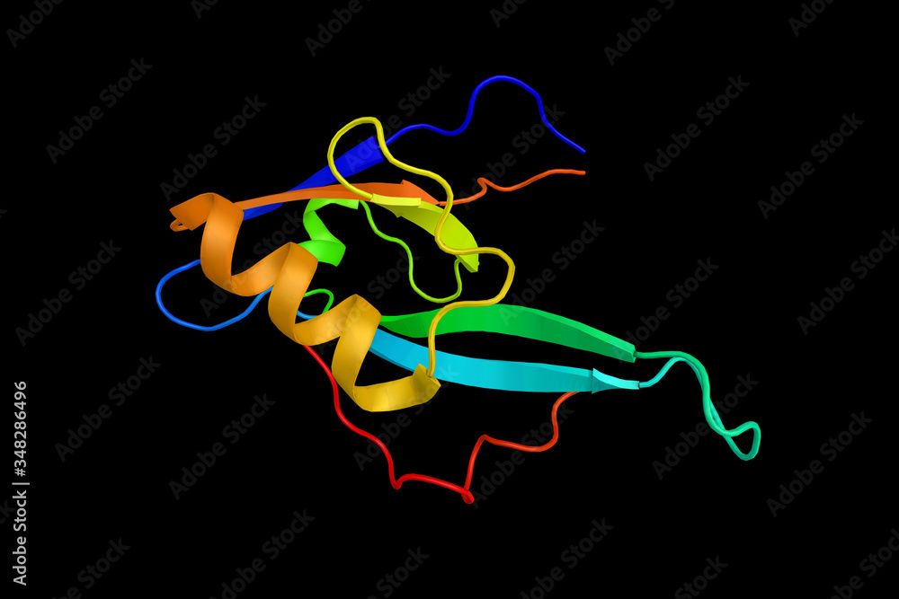 Microtubule-associated serine/threonine-protein kinase 2, an enzyme which has been shown to interact with PCLKC. 3d rendering