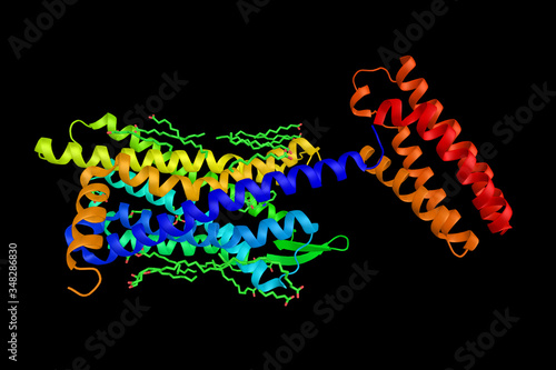 Delta opioid receptor G-protein. Has enkephalins as its endogenous ligands. Possible role in mood regulation. 3d rendering photo