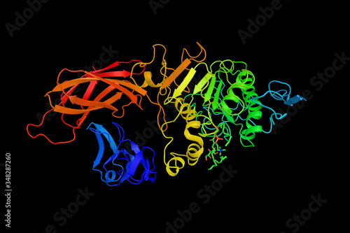 Example of PLAT/LH2 domain, a protein domain found in a variety of membrane or lipid associated proteins. 3d rendering photo