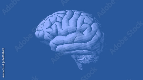 Human brain drawing illustration on blue BG