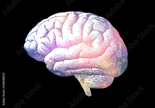 Colorful engraving brain illustration on black BG