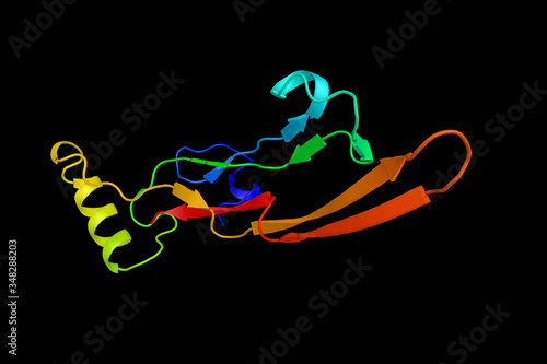 Transforming growth factor-beta 2, a secreted protein known as a cytokine that performs many cellular functions and has a vital role during embryonic development. 3d rendering photo