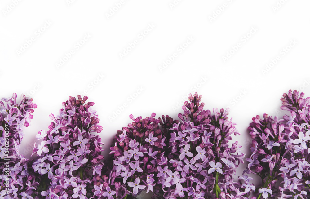 Lilac flowers on a white isolated background. A border of lilac flowers. Lilac flowers on a white isolated background. A border of lilac flowers.