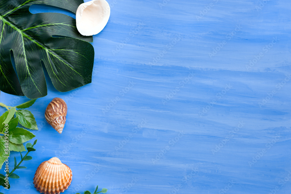 Nature blue background frame with green leaves and shells for design elements, summer background. Sopy space Nature blue background frame with green leaves and shells for design elements, summer background. Sopy space