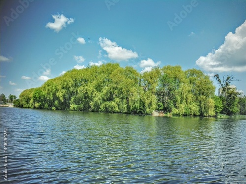 lake and forest